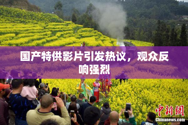 国产特供影片引发热议，观众反响强烈