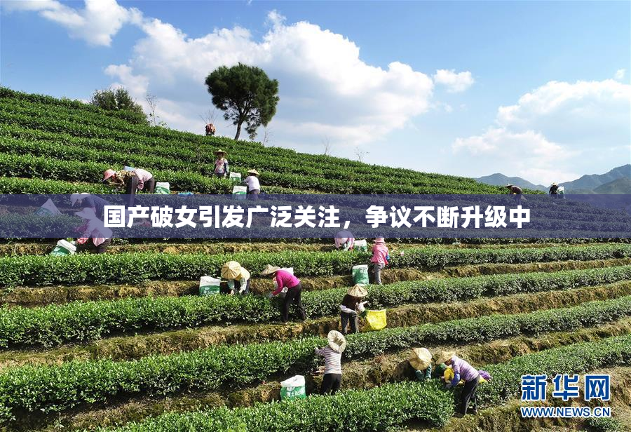 国产破女引发广泛关注，争议不断升级中