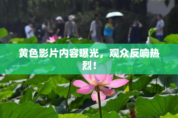 黄色影片内容曝光，观众反响热烈！