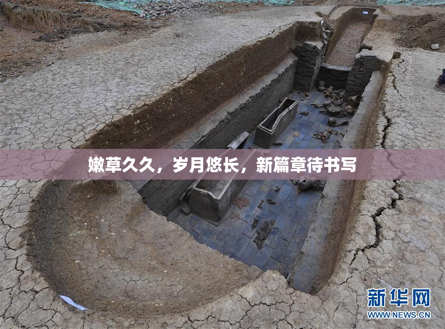嫩草久久，岁月悠长，新篇章待书写