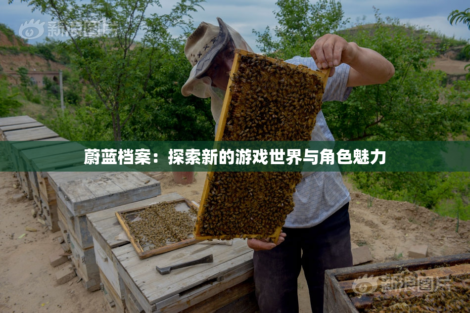 蔚蓝档案：探索新的游戏世界与角色魅力