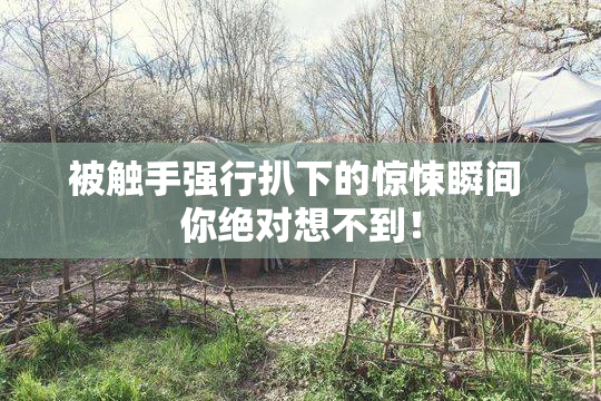 被触手强行扒下的惊悚瞬间 你绝对想不到！