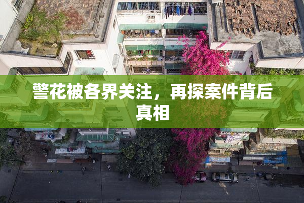 警花被各界关注，再探案件背后真相