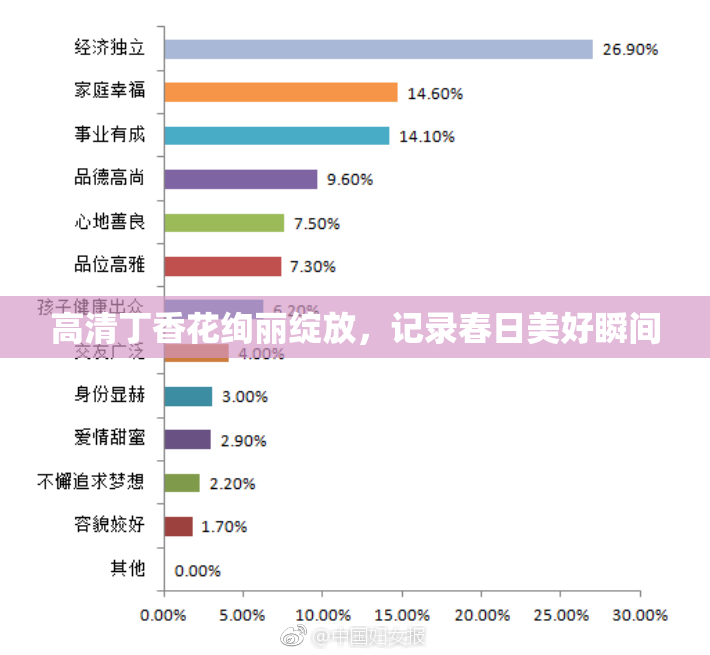 高清丁香花绚丽绽放，记录春日美好瞬间