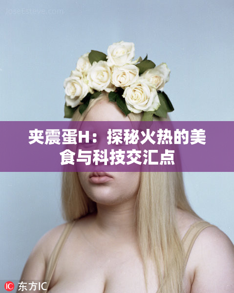 夹震蛋H：探秘火热的美食与科技交汇点