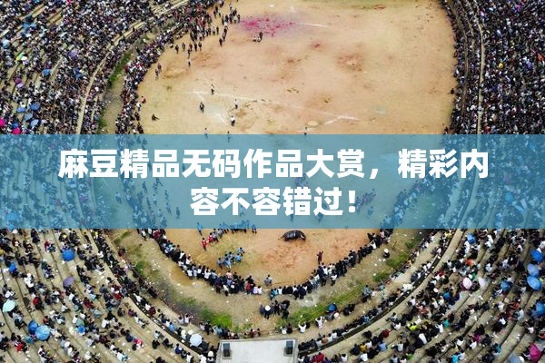 麻豆精品无码作品大赏，精彩内容不容错过！
