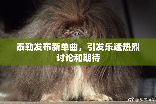 泰勒发布新单曲，引发乐迷热烈讨论和期待