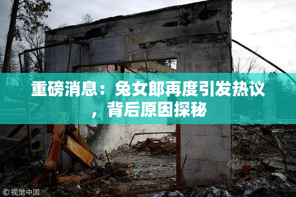 重磅消息：兔女郎再度引发热议，背后原因探秘