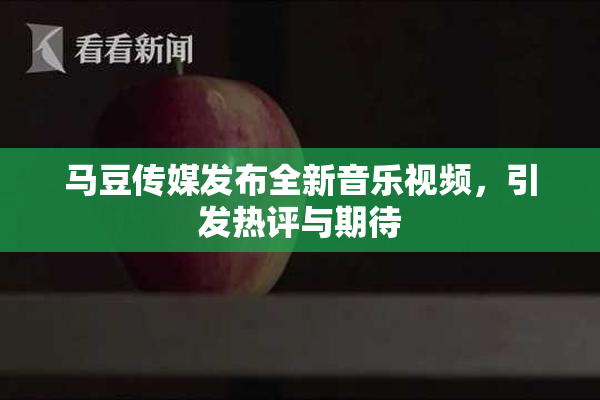 马豆传媒发布全新音乐视频，引发热评与期待