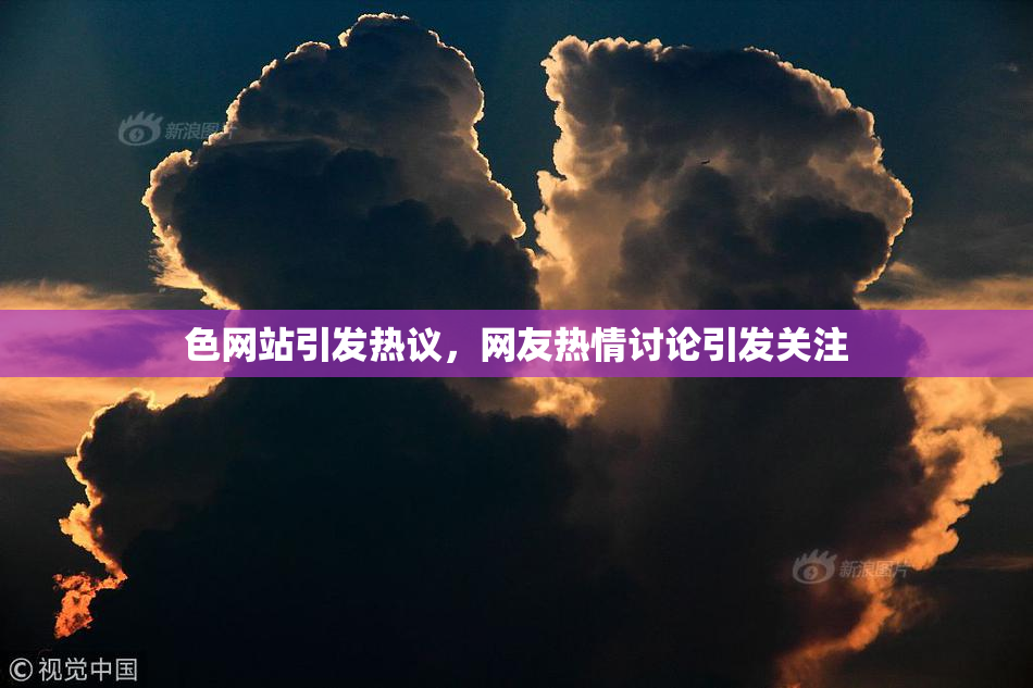 色网站引发热议，网友热情讨论引发关注
