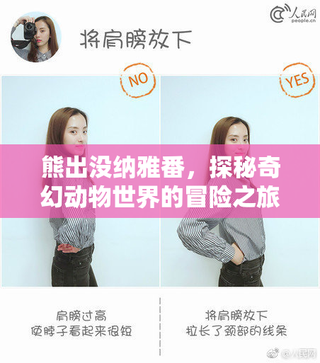 熊出没纳雅番，探秘奇幻动物世界的冒险之旅