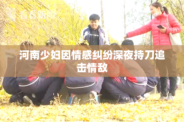 河南少妇因情感纠纷深夜持刀追击情敌