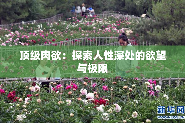 顶级肉欲：探索人性深处的欲望与极限
