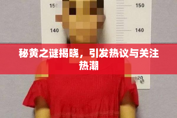 秘黄之谜揭晓，引发热议与关注热潮
