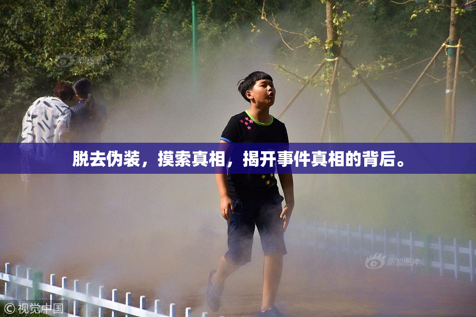 脱去伪装，摸索真相，揭开事件真相的背后。