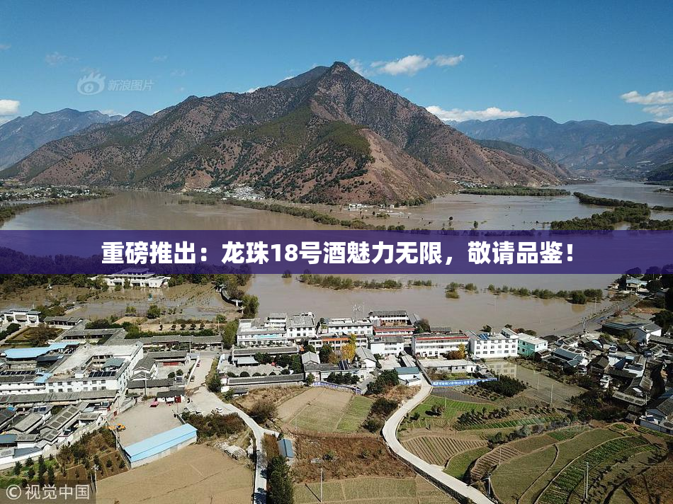 重磅推出：龙珠18号酒魅力无限，敬请品鉴！