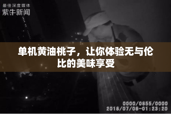 单机黄油桃子，让你体验无与伦比的美味享受
