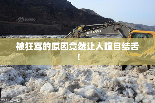 被狂骂的原因竟然让人瞠目结舌！
