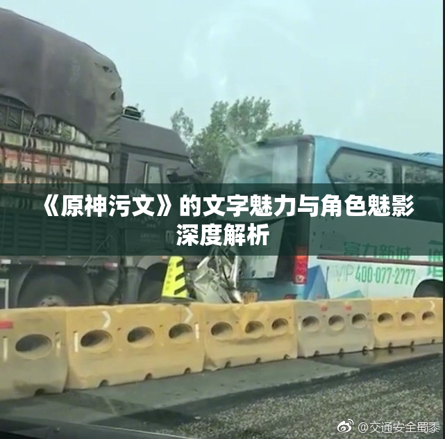 《原神污文》的文字魅力与角色魅影深度解析