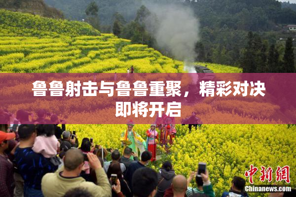 鲁鲁射击与鲁鲁重聚，精彩对决即将开启
