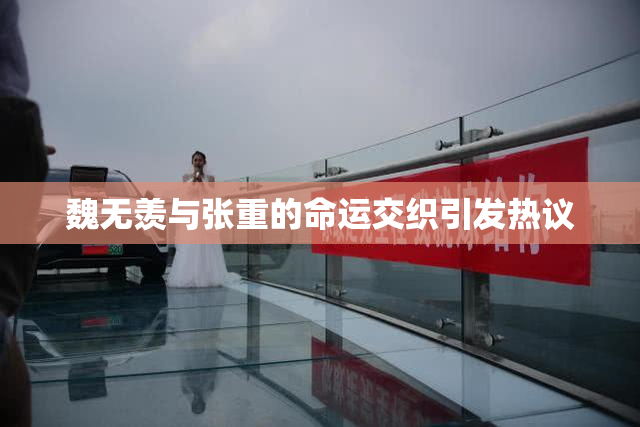 魏无羡与张重的命运交织引发热议