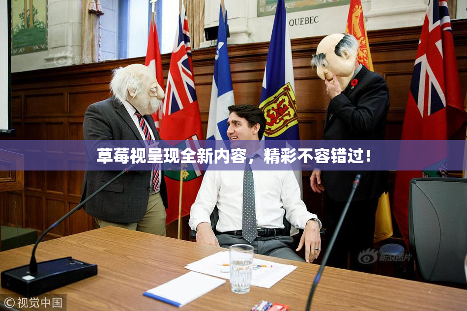 草莓视呈现全新内容，精彩不容错过！