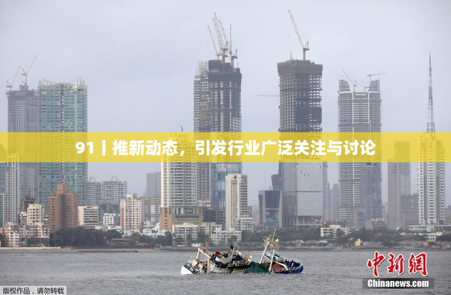 91丨推新动态，引发行业广泛关注与讨论