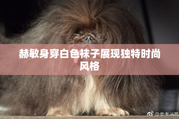 赫敏身穿白色袜子展现独特时尚风格