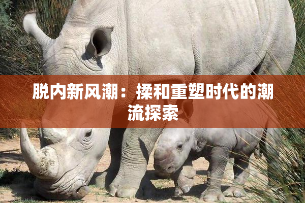 脱内新风潮：揉和重塑时代的潮流探索