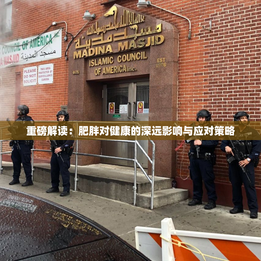 重磅解读：肥胖对健康的深远影响与应对策略