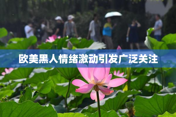 欧美黑人情绪激动引发广泛关注
