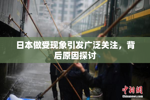 日本做受现象引发广泛关注，背后原因探讨