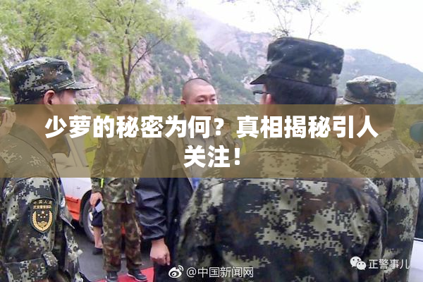 少萝的秘密为何？真相揭秘引人关注！