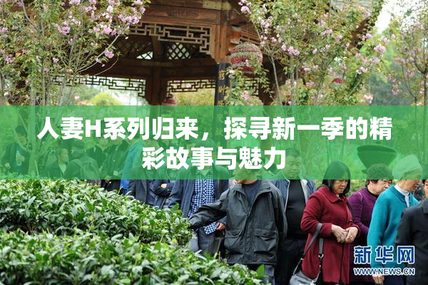 人妻H系列归来，探寻新一季的精彩故事与魅力