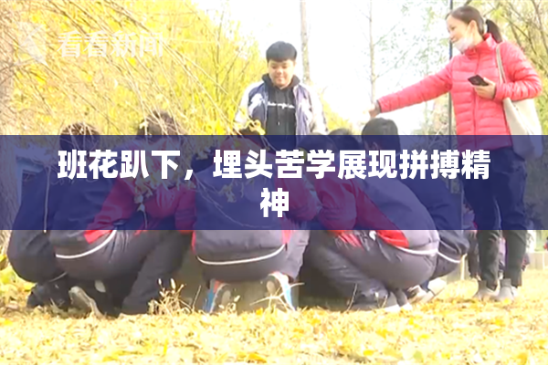 班花趴下，埋头苦学展现拼搏精神