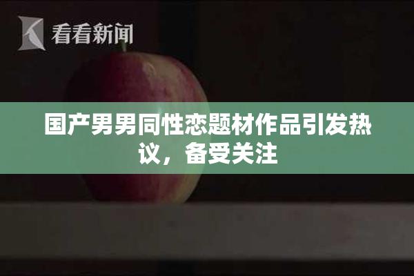 国产男男同性恋题材作品引发热议，备受关注
