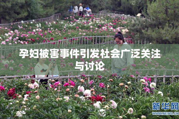 孕妇被害事件引发社会广泛关注与讨论