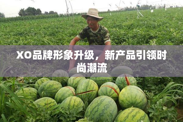 XO品牌形象升级，新产品引领时尚潮流
