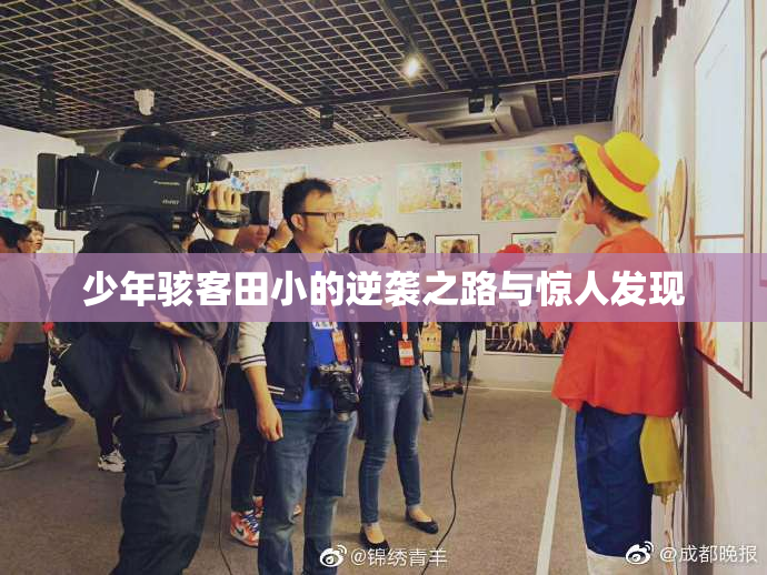 少年骇客田小的逆袭之路与惊人发现