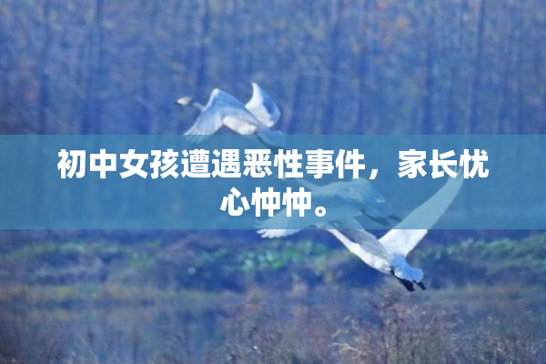 初中女孩遭遇恶性事件，家长忧心忡忡。