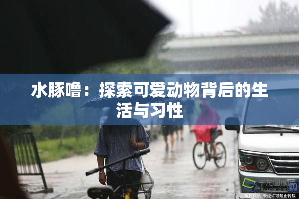 水豚噜:探索可爱动物背后的生活与习性