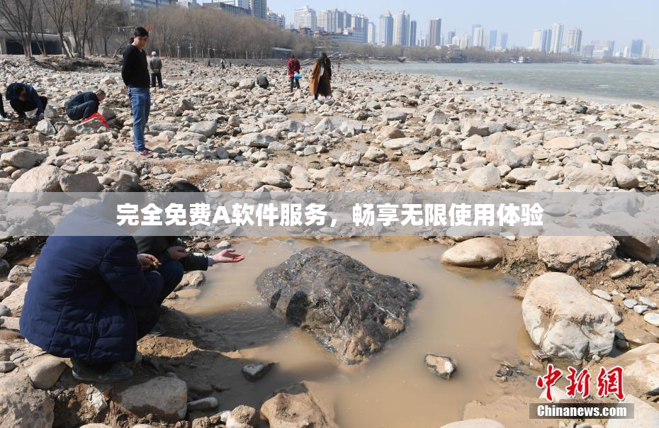 完全免费A软件服务，畅享无限使用体验