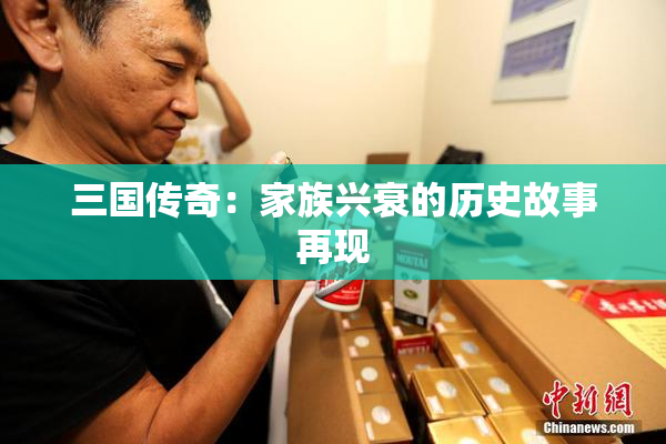 三国传奇：家族兴衰的历史故事再现