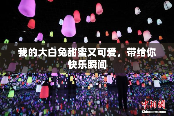 我的大白兔甜蜜又可爱,带给你快乐瞬间