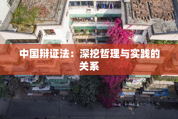 中国辩证法：深挖哲理与实践的关系