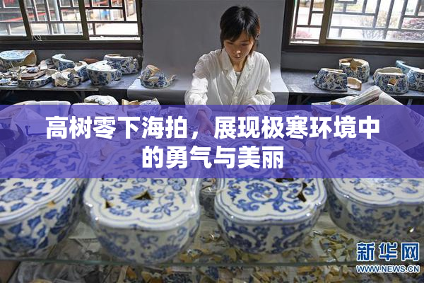 高树零下海拍，展现极寒环境中的勇气与美丽