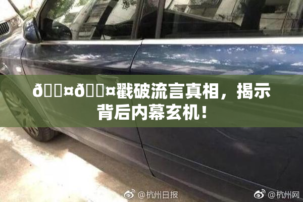 🐤🐤戳破流言真相,揭示背后内幕玄机!