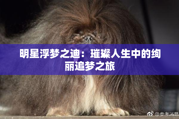 明星浮梦之迪:璀璨人生中的绚丽追梦之旅