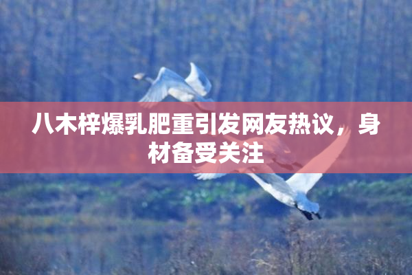 八木梓爆乳肥重引发网友热议，身材备受关注
