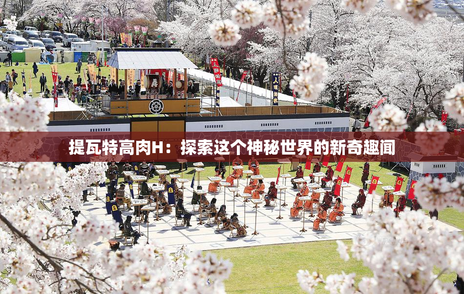 提瓦特高肉H:探索这个神秘世界的新奇趣闻